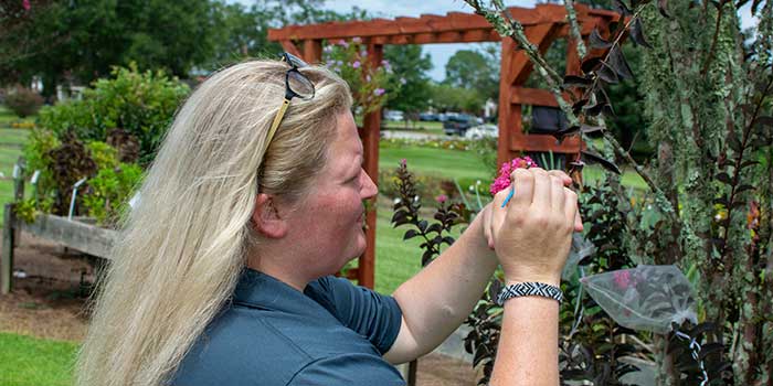 Horticulture graduate student working on ornamental
