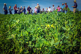 workshop in field of alfalfa