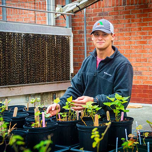 student in greenhouse