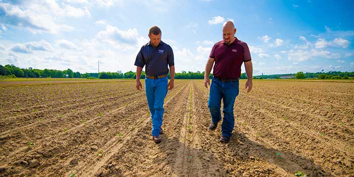 Agricultural and Environmental Soil Sciences