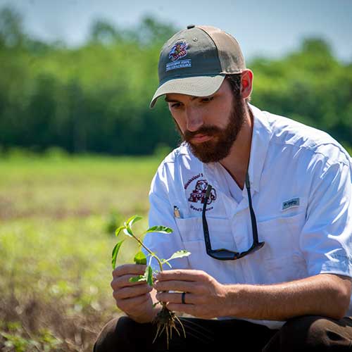 student in peanut field