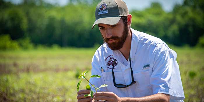 Agronomy graduate student in the field