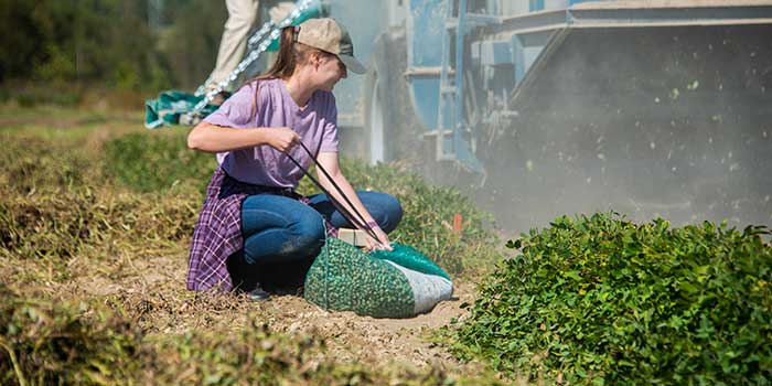 Integrated Crop Management