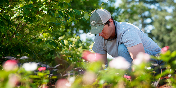 Floriculture and Ornamental Horticulture