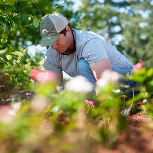 student working in landscape