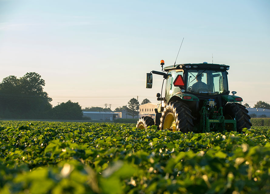 Tractor in the field