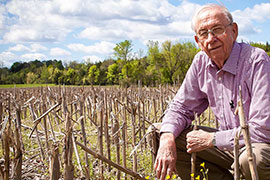 scientist in field of harvested corn