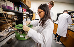 students working in a laboratory