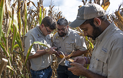 Camden Oglesby, graduate student; Dr. Jagman Dhillon, assistant professor; and Ramandeep Sharma, graduate student; review field layout to determine the treatment in this section of the MAFES W. B. Andrews Agricultural Systems Research Farm. (Photo by Dominique Belcher)