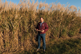 scientist in field of grass