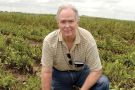 scientist in energy beet field