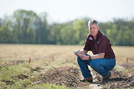 scientist looking over weeds