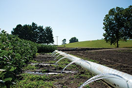 polypipe irrigating soybean