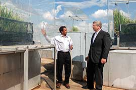 scientists at the environmental chamber