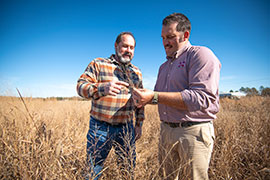 Drs. Brian Baldwin and Jesse Morrison look at 