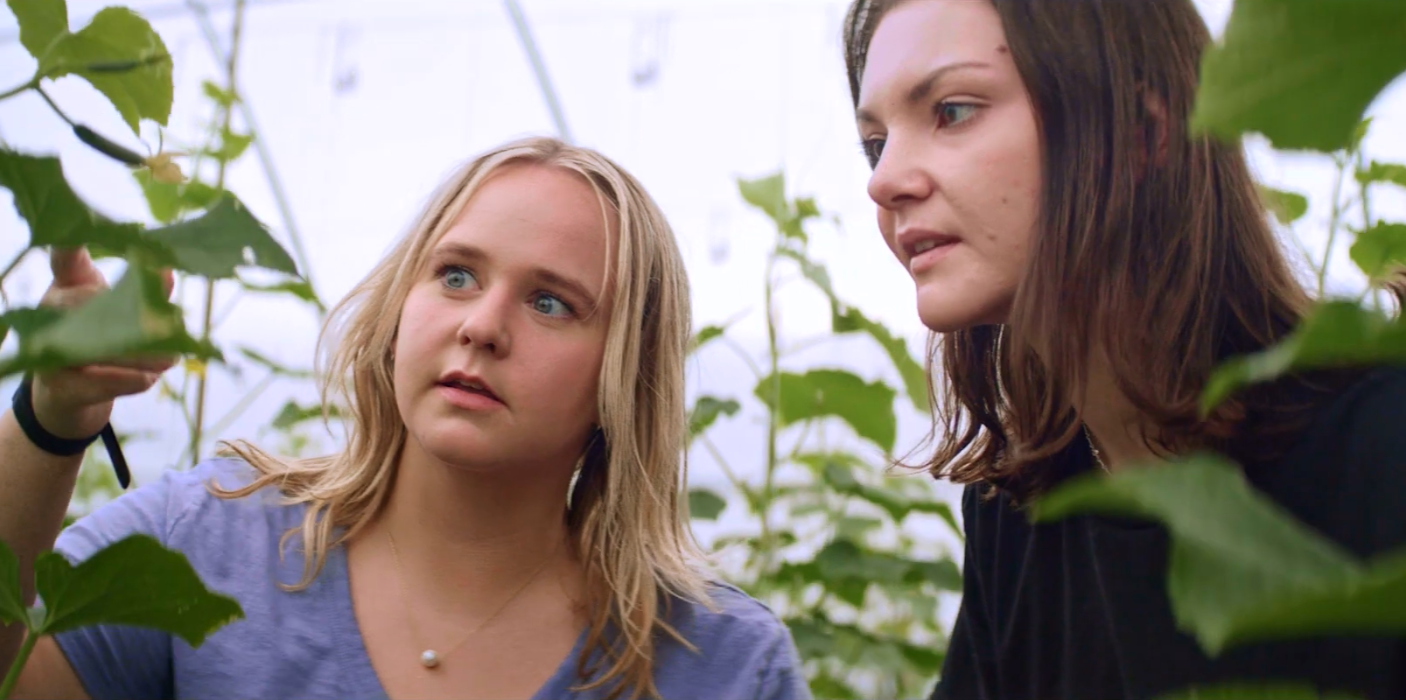 students in a field