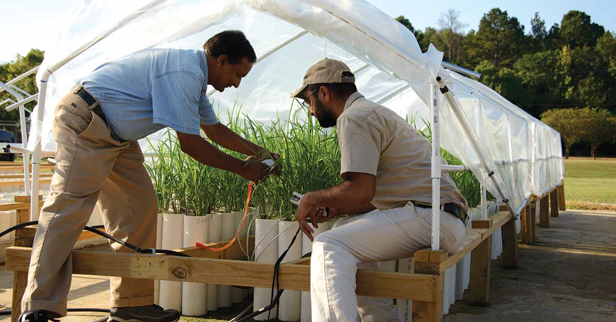 Our People Plant and Soil Sciences Mississippi State University