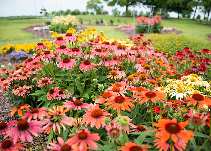 Trial Gardens